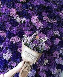 We did not find results for: Flowers Aesthetic Lilac 60 Ideas Purple Flower Bouquet Purple Flowers Flower Aesthetic