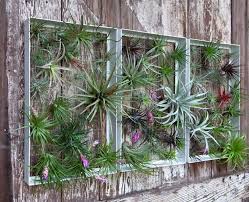 South Africa Garden Decor Images Google Search Jardineria Vertical Muros De Jardin Plantas En Pared