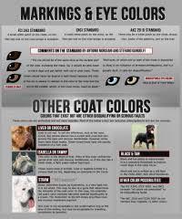 Italian Mastiff Weight Chart Identifying Molosser Breeds
