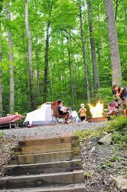 Great smoky mountains national park visitor centers no longer sell senior passes. Cosby Campground In Great Smoky Mountains National Park Tennessee Is A Peaceful Camp Camping Photography Great Smoky Mountains National Park Camping Locations
