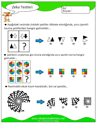 Nurhayat Solak Gurel Adli Kullanicinin Mental Ability Panosundaki Pin Okul Evde Egitim Ogretim