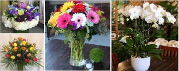 English garden flowers las vegas. The 14 Best Options For Flower Delivery In Las Vegas 2021