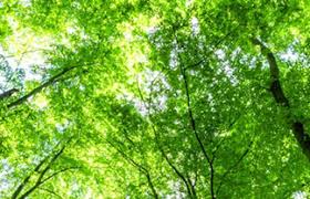 Access accounts with 24/7 online banking. European Bank For Reconstruction And Development Ebrd