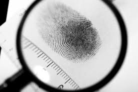 Why Do We Have Fingerprints? | Live Science