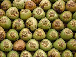 Coconuts Fruit Photography Coconut Pomegranate Recipes