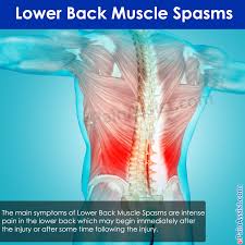 Loose, stretched, or torn pelvic ligaments can give rise to a large number of symptoms. Lower Back Muscle Spasms Treatment Causes Symptoms