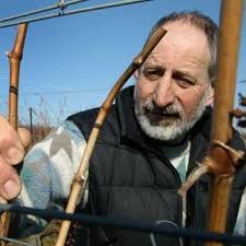 Our story — Ohio Wine Producers Association