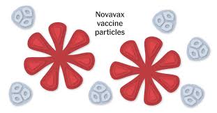Novavax expects the data to serve as the basis for submission for authorization to various in both the u.k. How The Novavax Covid 19 Vaccine Works The New York Times