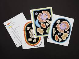 We did not find results for: Build A Cell American Printing House