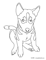 Tiré par deux beaux chiens, ce traineau promène un couple à travers la montagne. Coloriage Trop Mignon D Un Bebe Husky Ces Chiens Sont Incroyablement Beau Et Sont De Grands Sportifs Chien Coloriage Coloriage Animaux Chiots Berger Allemands