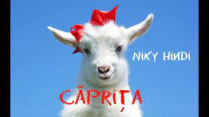 Florin campeanu, koma, bean muzica/text: Niky Hindi Caprita Ta Ta Ta Caprita Ta Dec 2017 Youtube
