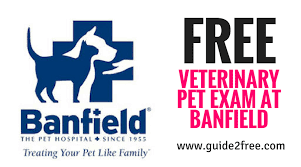 To check whether or not a microchip has been registered with infopet or another pet registry in the us click on. Banfield Pet Hospital Logo Png Pet S Gallery