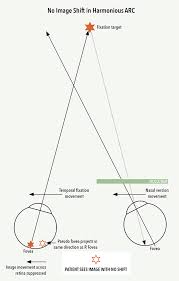 Image result for Visual Fixation