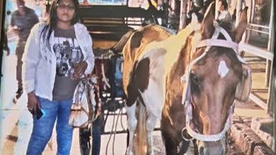 Mumbai: Illegal horse cart stopped and taken to police station, but horse 'runs away' | Mumbai News - Times of India