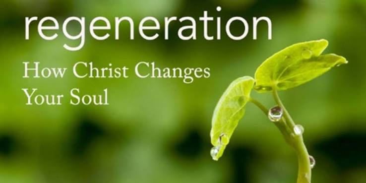 Signs of Life, Part 1 - Open the Bible