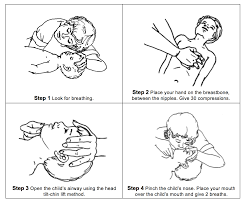 Cardiopulmonary Resuscitation Cpr For Infants