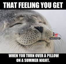Memes about summer and related topics. Summer Memes At Your Disposal Myebeat