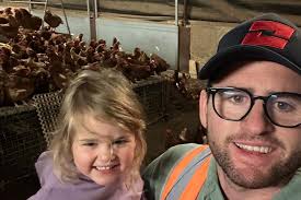 Bird flu wipes out more than half a million Victorian farmer's hens