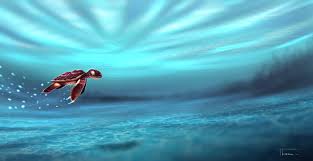 Maybe you would like to learn more about one of these? Turtle Baby In Water Artwork 5k Hd Artist 4k Wallpapers Images Backgrounds Photos And Pictures