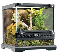 Exo Terra Nano Glass Terrarium Reptile Habitat 8 X 8 X Https Www Amazon Com Dp B004s79fe8 Ref Cm Sw Reptile Habitat Hermit Crab Habitat Glass Terrarium