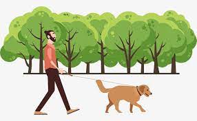 Walk Dogs In The Park Cartoon The Dog Walk The Dog Png And Vector With Transparent Background For Free Download Walking Cartoon Dog Walking Cartoon