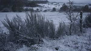We did not find results for: Meteo Des Records De Froid Pour Un Mois De Mai Battus Dans Plusieurs Regions