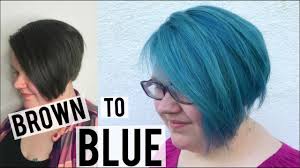 1) just go from brown to blue. How To Brown To Blue Hair Youtube
