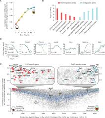 2001 western star engine part diagram. Multi Omic Profiling Reveals Dynamics Of The Phased Progression Of Pluripotency Sciencedirect