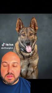 #K9 #K9Officers #ThinBlueLine #FallenK9Officers #Police #LawEnforcement  #FirstReaponders #MarionCountyFlorida #MarionCountySheriffDepartment