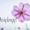 Check spelling or type a new query. Https Encrypted Tbn0 Gstatic Com Images Q Tbn And9gcsxq0tmaxrcxn2awgd0kiy8zrimik Fus5ra0txxlsdpu9atqxc Usqp Cau