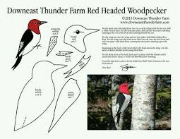 Bird With Red V On Back Of Head Redhead Woodpecker Felt Birds Ornaments Bird Template Sewing Stuffed Animals