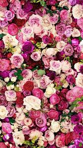 Roses Peonies Full Screen Wallpaper Flower Wallpaper Rose Wallpaper Flowers