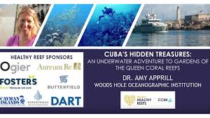 Ccmi, a simplify compliance business | 370 followers on linkedin. Ccmi Cuba S Hidden Treasures Scubaverse