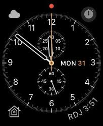 What Is The Red Dot At The Center Top Applewatch