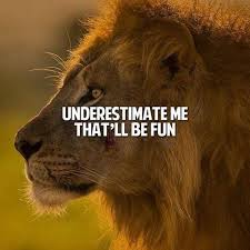 business warrior quotes lion quotes inspirational quotes motivation