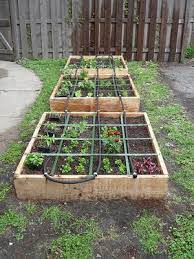 Square Foot Gardening Mulching And Watering Fall Garden Vegetables Square Foot Gardening Mulching