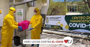 .amplus en otay magnitud plaza alameda. Uabc Ha Hecho Mas De Mil Pruebas Gratuitas De Covid En Baja California Amo Tijuana