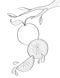 Coloring pages orange is a page that has collected images of a bright fruit from the citrus family. Free Orange Coloring Page