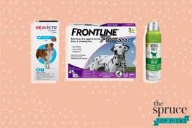 If your dog already has fleas or ticks, be sure that he is completely free from them before you start any preventative measures, otherwise you'll just be taking two steps forward and one step back. The 7 Best Flea And Tick Prevention Products For Dogs In 2021