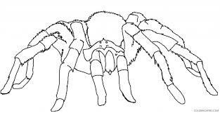 And this is just one of their advantages. Tarantula Spider Coloring Pages Coloring4free Coloring4free Com