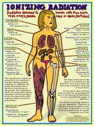 Kidney damage has been seen in humans and animals after inhaling or ingesting uranium compounds. Women Children First To Be Harmed By Radiation Counterpunch Org Nuclear Medicine Nuclear Medicine Technologist Radiation Therapy