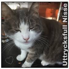 Image result for site:byggahus.se skrik