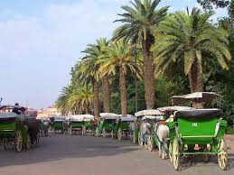 Chania