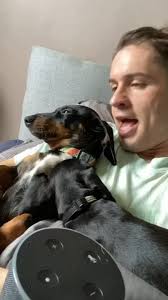 This could be the final Alepsa