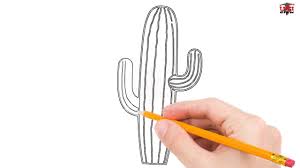 Cactus simple strokes green cactus creative simple strokes video tutorial. How To Draw A Cactus Step By Step Easy For Beginners Kids Simple Cactuses Drawing Tutorial Youtube