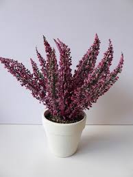 Check spelling or type a new query. 25cm Artificial Pink Heather In Pot Uk Gardens Co Uk