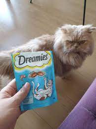 kozmetik yorumlarim ilke cevik kozmetik yasam makyaj guzellik blogu dreamies somonlu kedi odul mamasi