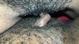 Free EBONY LESBIANS TRIBBING Porn Video - Ebony 8