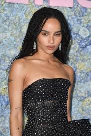 Check out this biography to know about her childhood, family life, achievements and other facts about her life. Zoe Kravitz As Catwoman Halle Berry Jason Momoa Anne Hathaway React