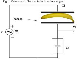 Pdf Prediction Of Banana Quality During Ripening Stage